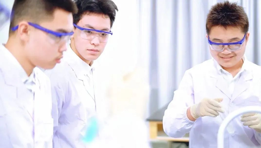 启华喜报丨高中国际部参赛学子全部获奖！