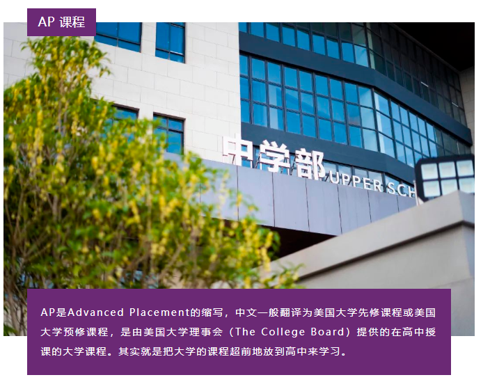 启华融合部课程介绍丨A-Level、AP 你pick哪一个？