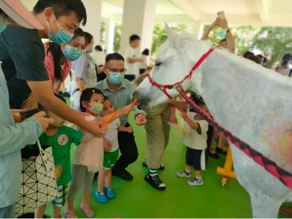 启华幼儿园体验日丨开启最美的童年梦