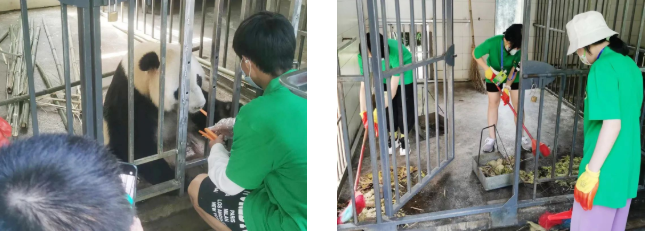 保护海洋生态、记录大熊猫习性...融合部学子这样过暑假！