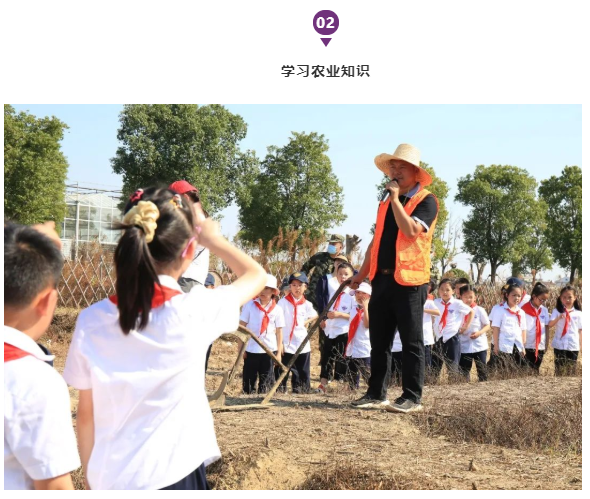 启华“双十一”丨小学生们用劳动赚取了第一张“粮票”！