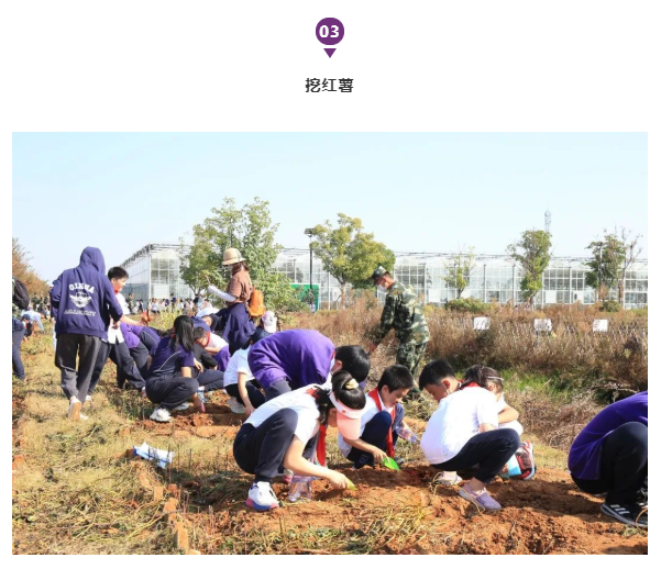 启华“双十一”丨小学生们用劳动赚取了第一张“粮票”！