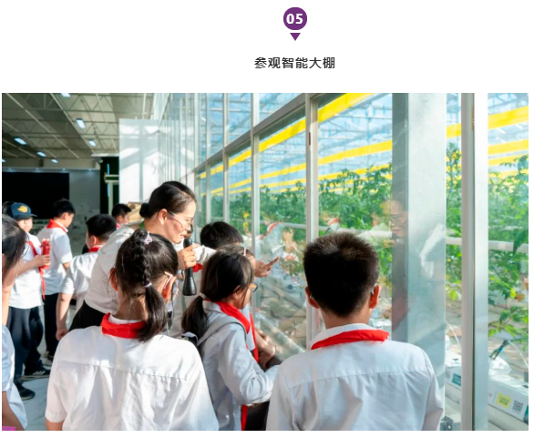 启华“双十一”丨小学生们用劳动赚取了第一张“粮票”！