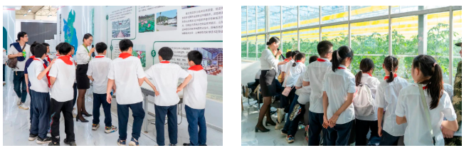 启华“双十一”丨小学生们用劳动赚取了第一张“粮票”！