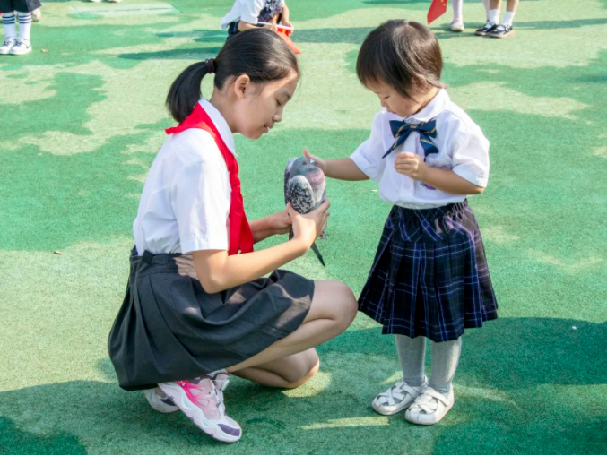 “蹭了一学期课”的幼儿园小朋友们，他们做了什么？