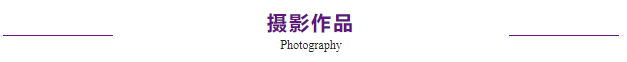 启华艺术设计展 | 高中生的创造力能有多强？！