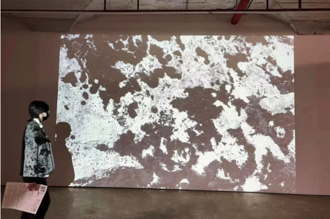启华假期 | 走！一起去看展