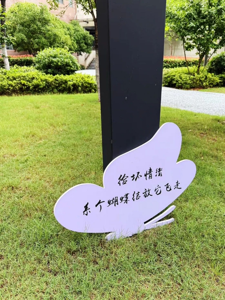 这个5月，重新认识一下吧！