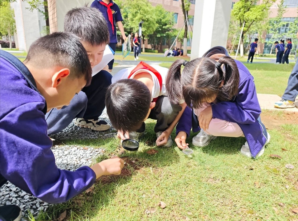 启华的小学生都这么“不务正业”吗？